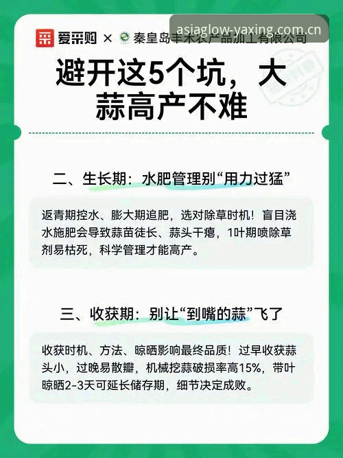 亚星中国官方主站APP下载 避开这5个坑,亚星中国官方主站APP下载一步到位——来自3000名用户的真实踩雷记录